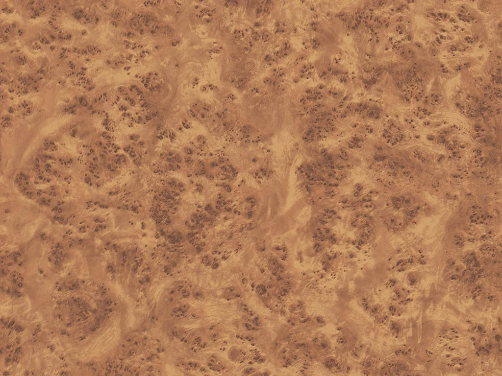 124-d004