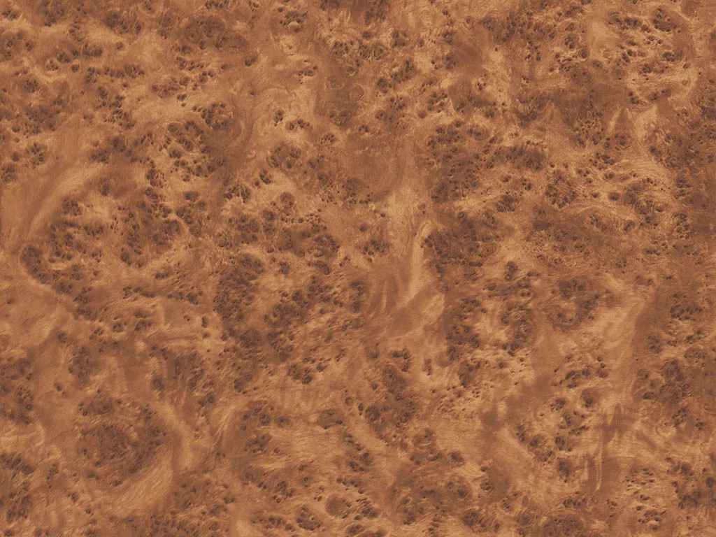 124-d005