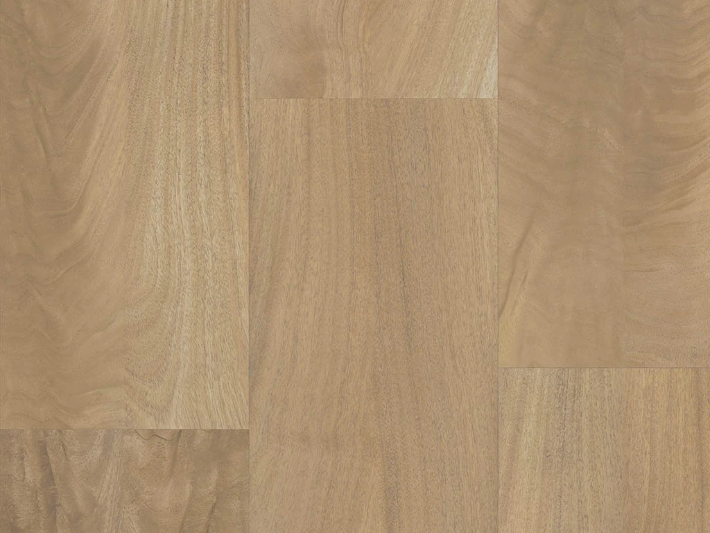 1041 – KING MAHOGANY