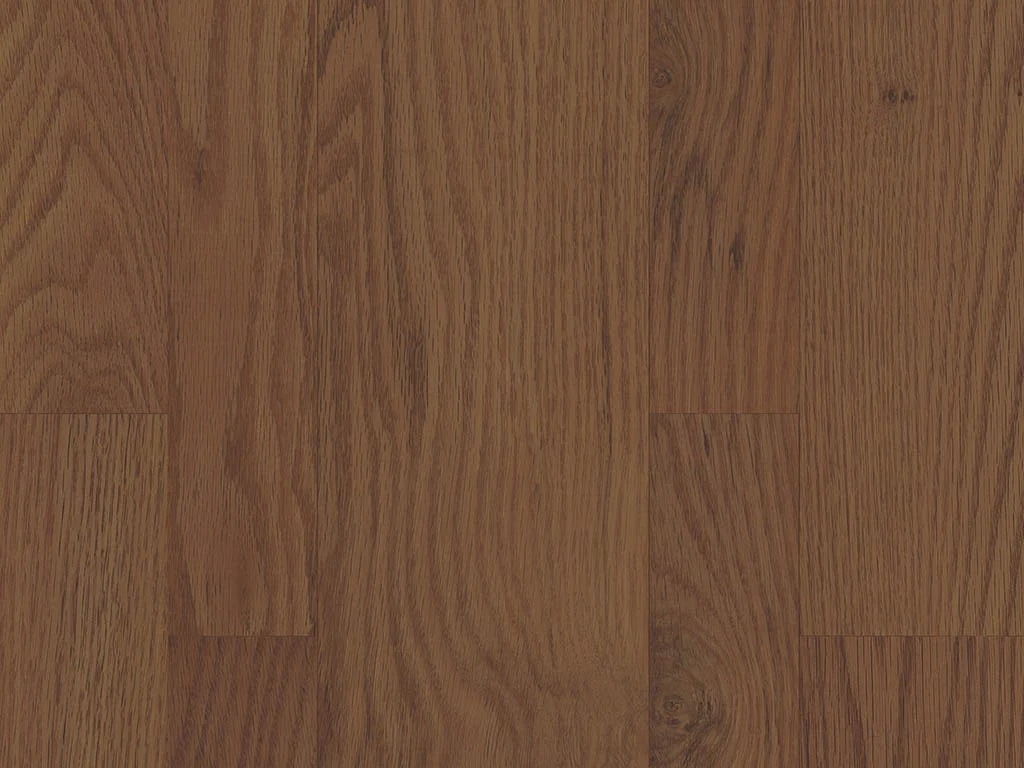 1111-d005