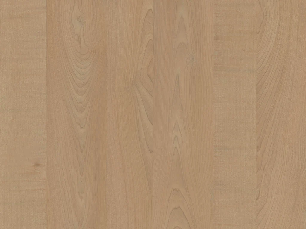 1119-d008