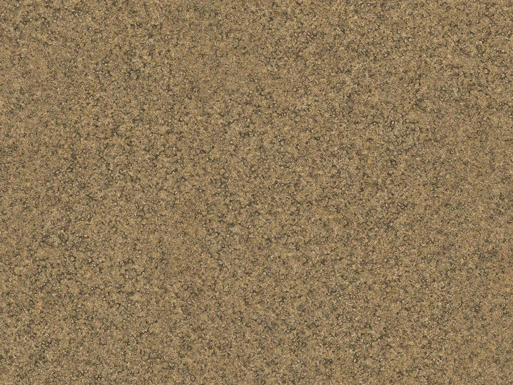 1149-d005