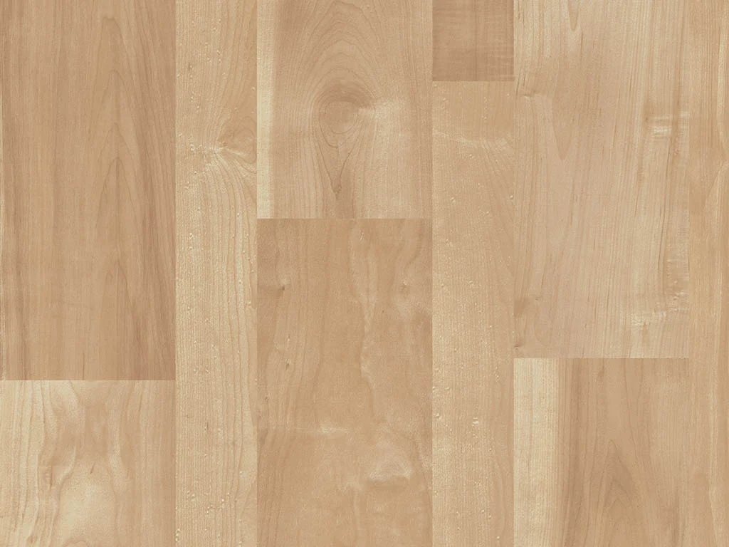 1179 – MOONSHADOW MAPLE