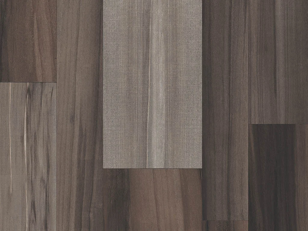 1197-d002
