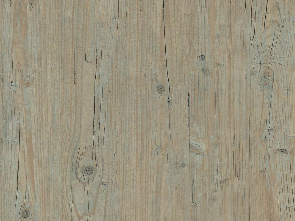 1210 – WASHINGTON PINE