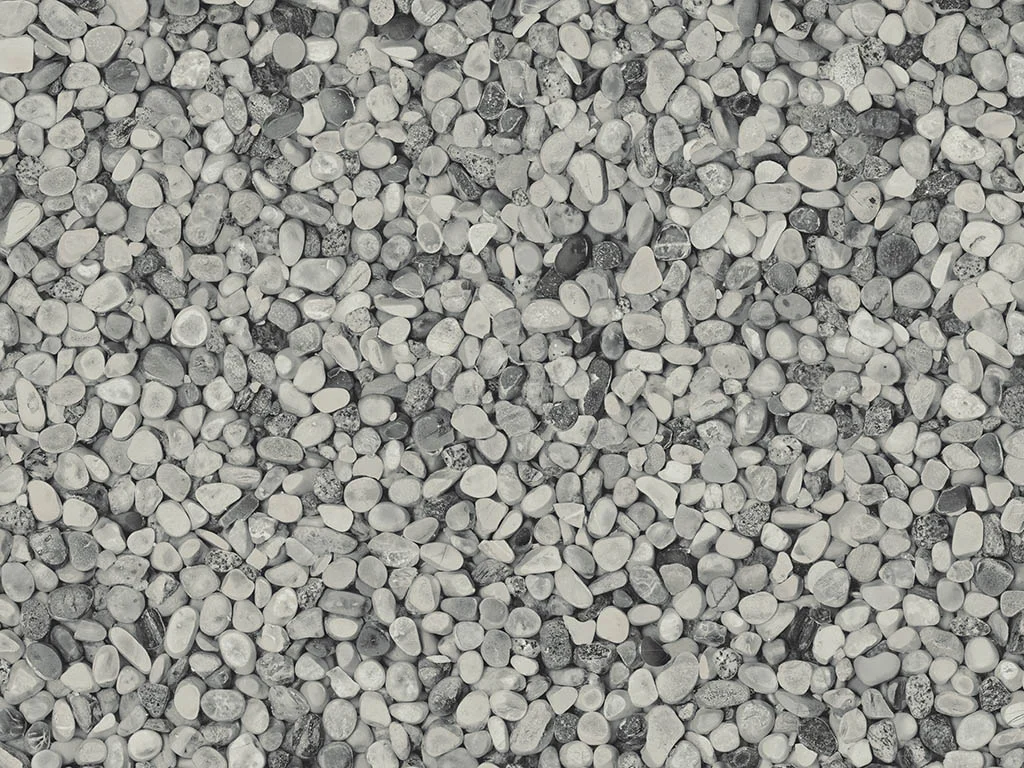 1262-d004