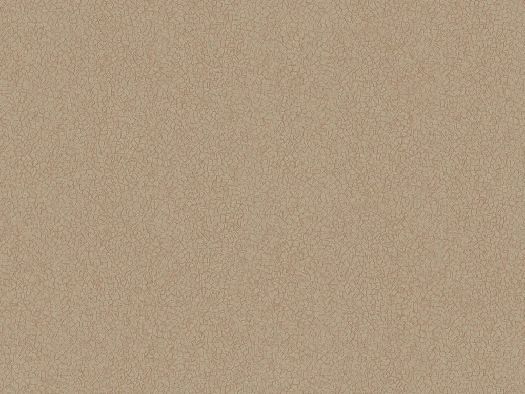 1303-d004