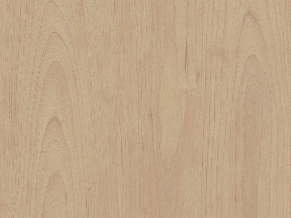 1362-d005