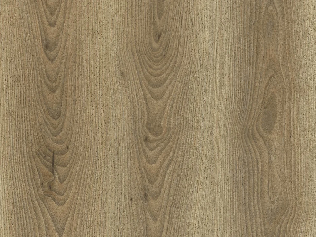 1424-d002