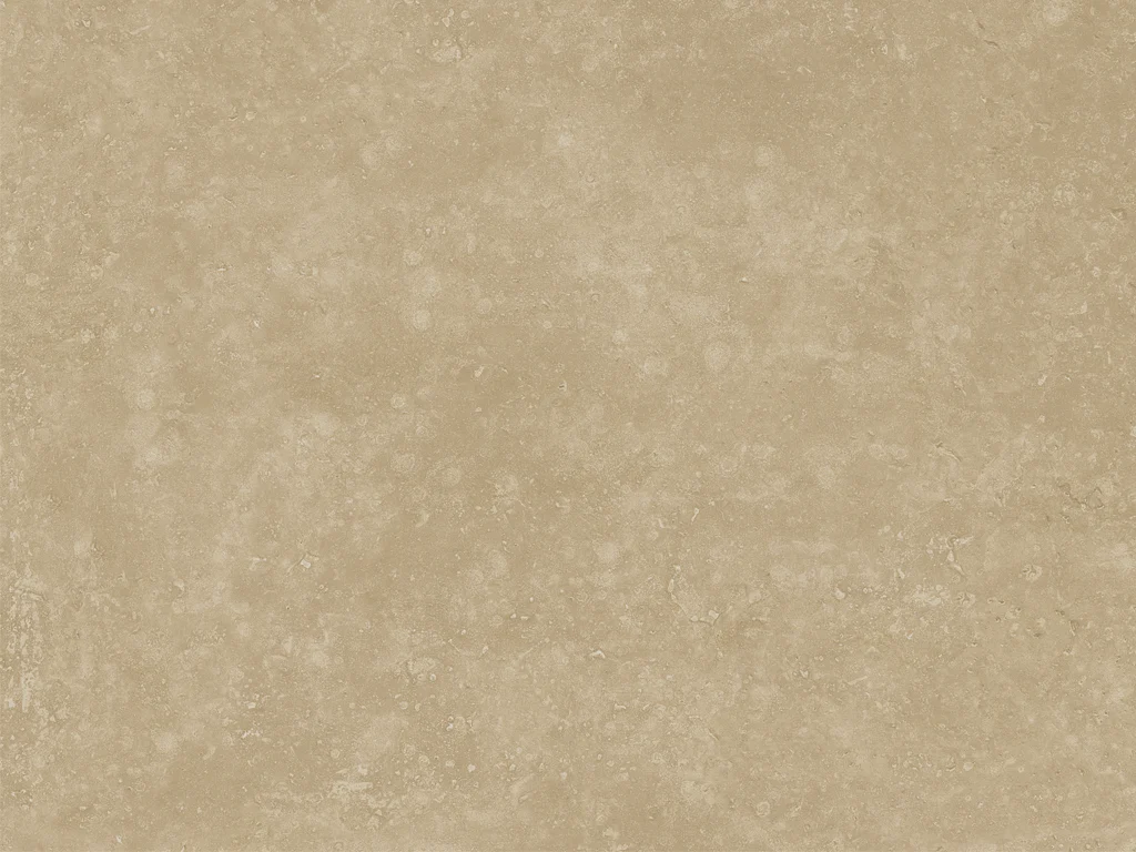 1428-d021