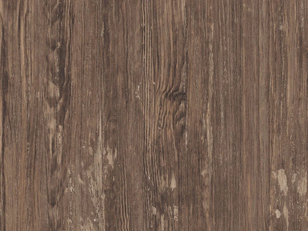 1495 – COLONIAL PINE