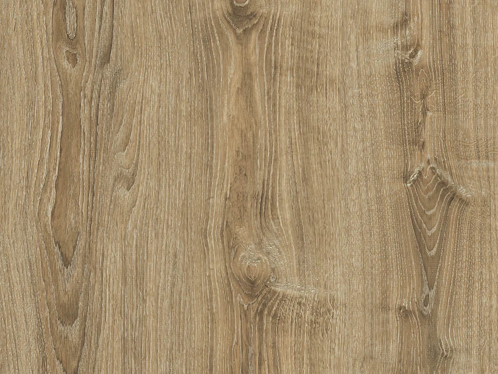 1624 – CERDANYA OAK