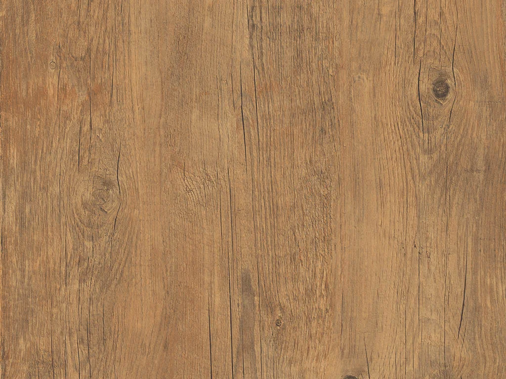 1642 – CINQUECENTO PINE
