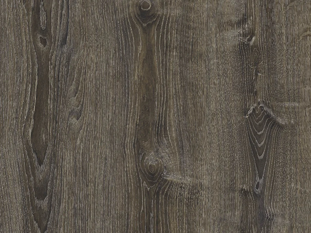 1657-d004