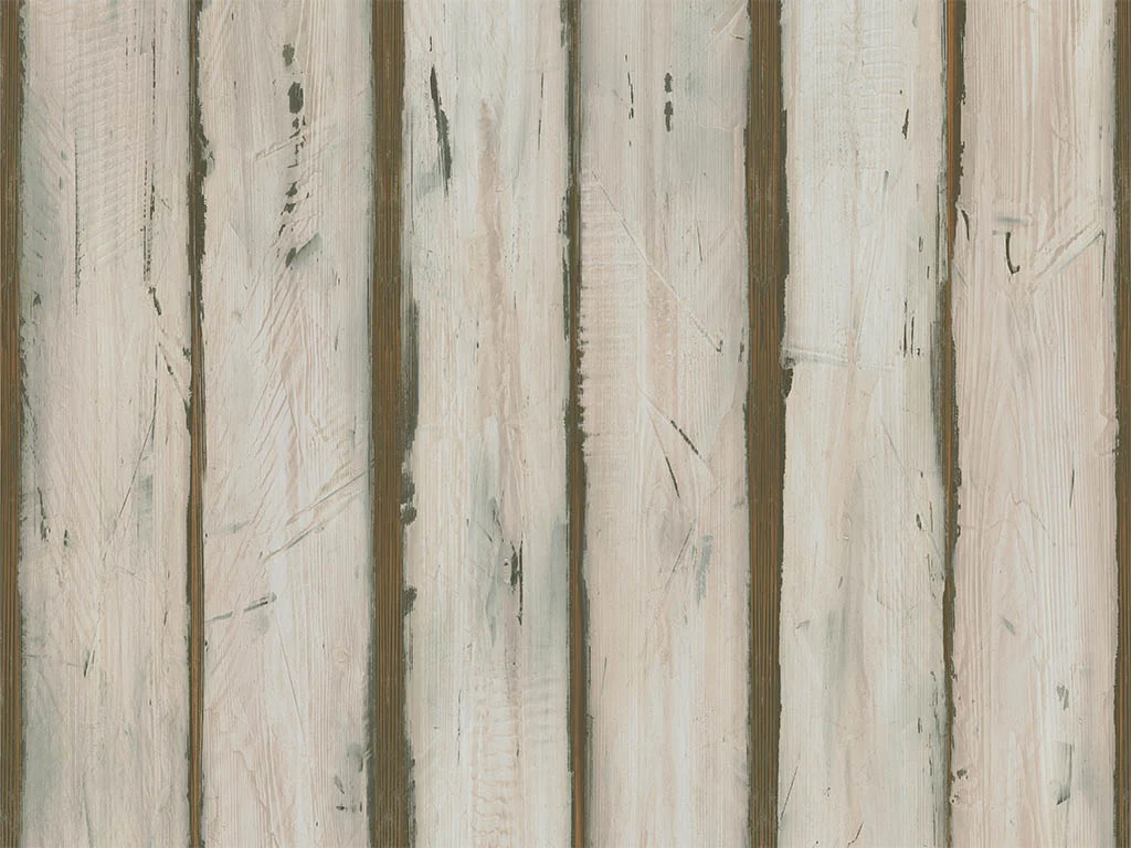1737-d004