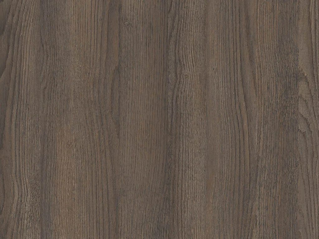 1765 – CAMARGUE PINE