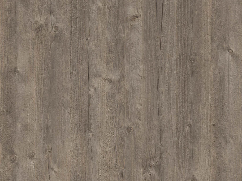1772 – MAREMMA PINE