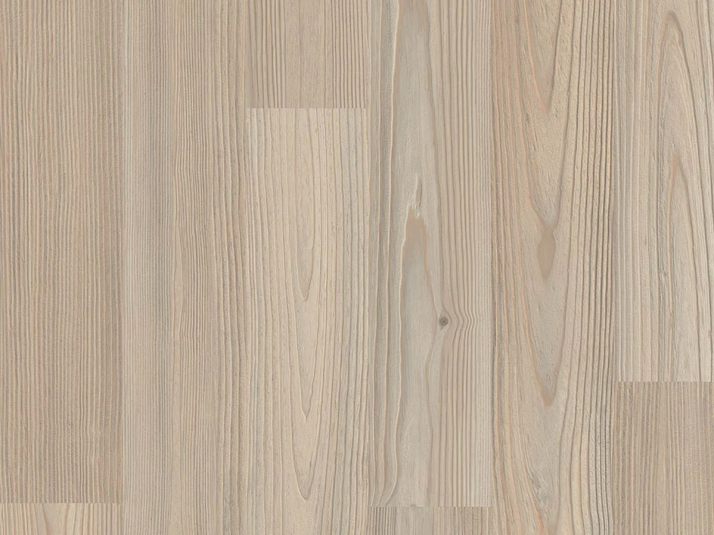 1846 – HAMMAM PINE