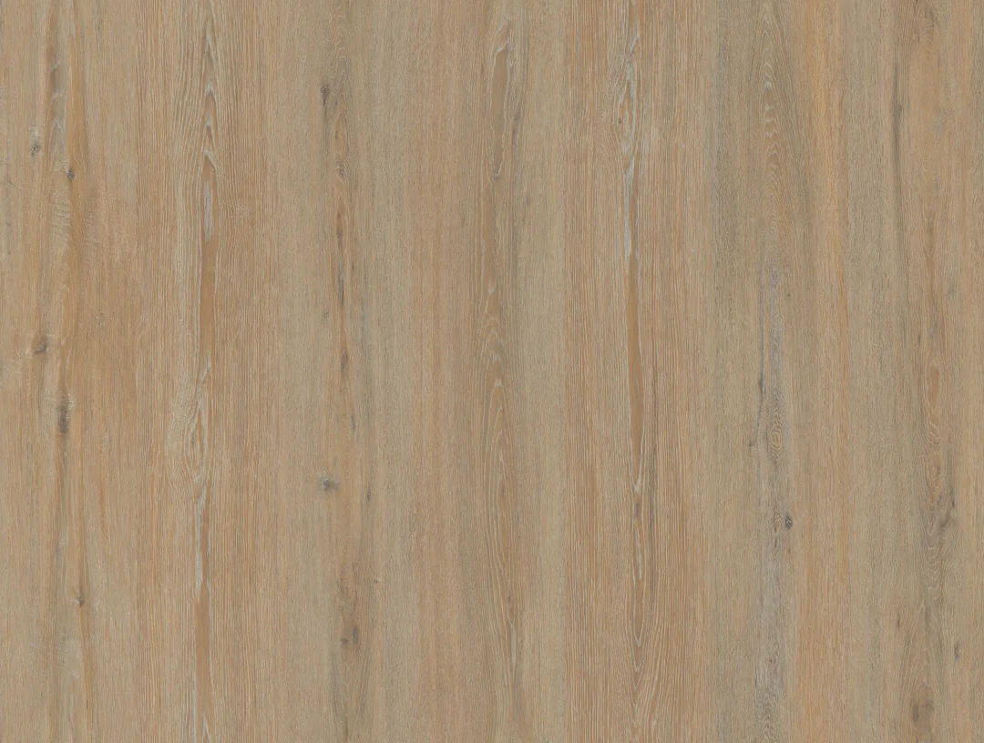 1858-d004