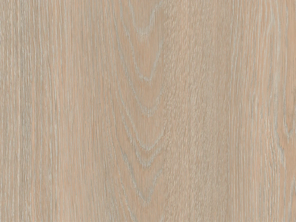 1882-d017