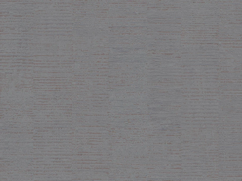 1898-d004