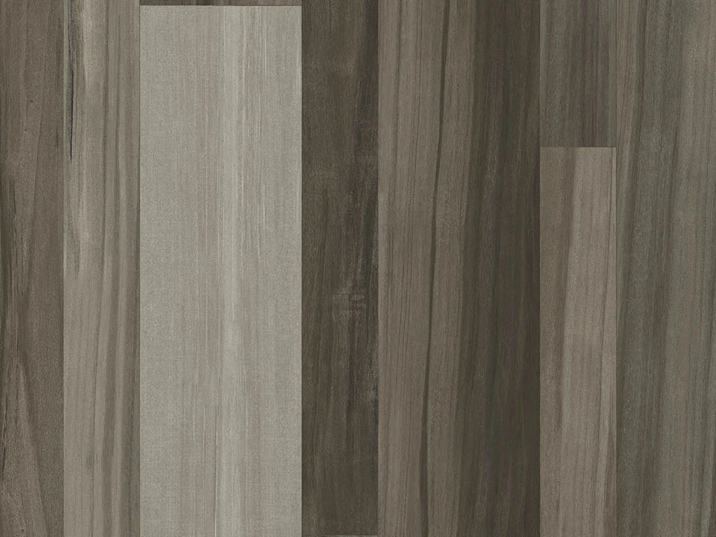2019-d004