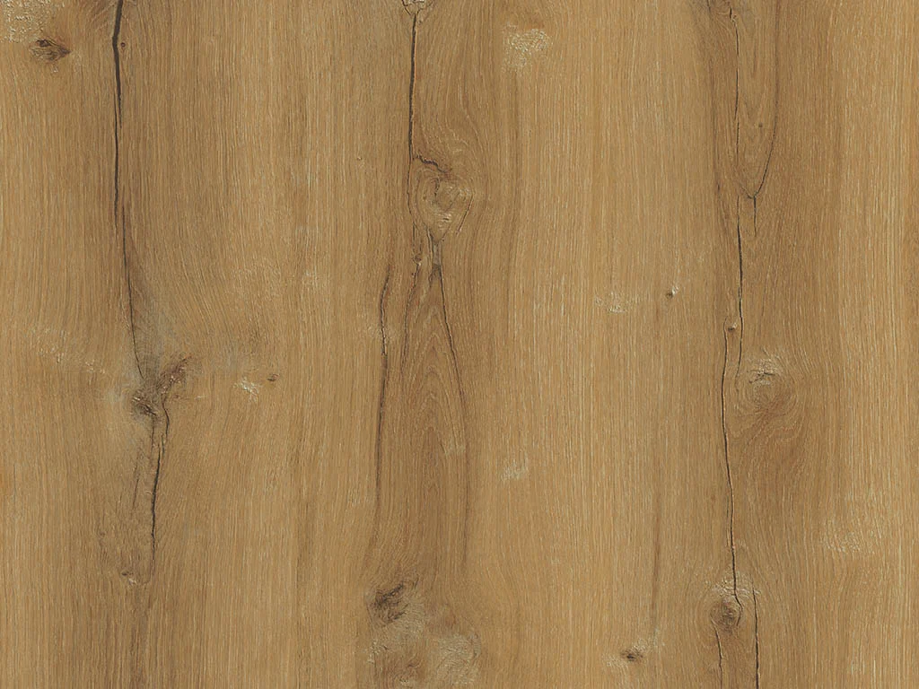 2098-d003