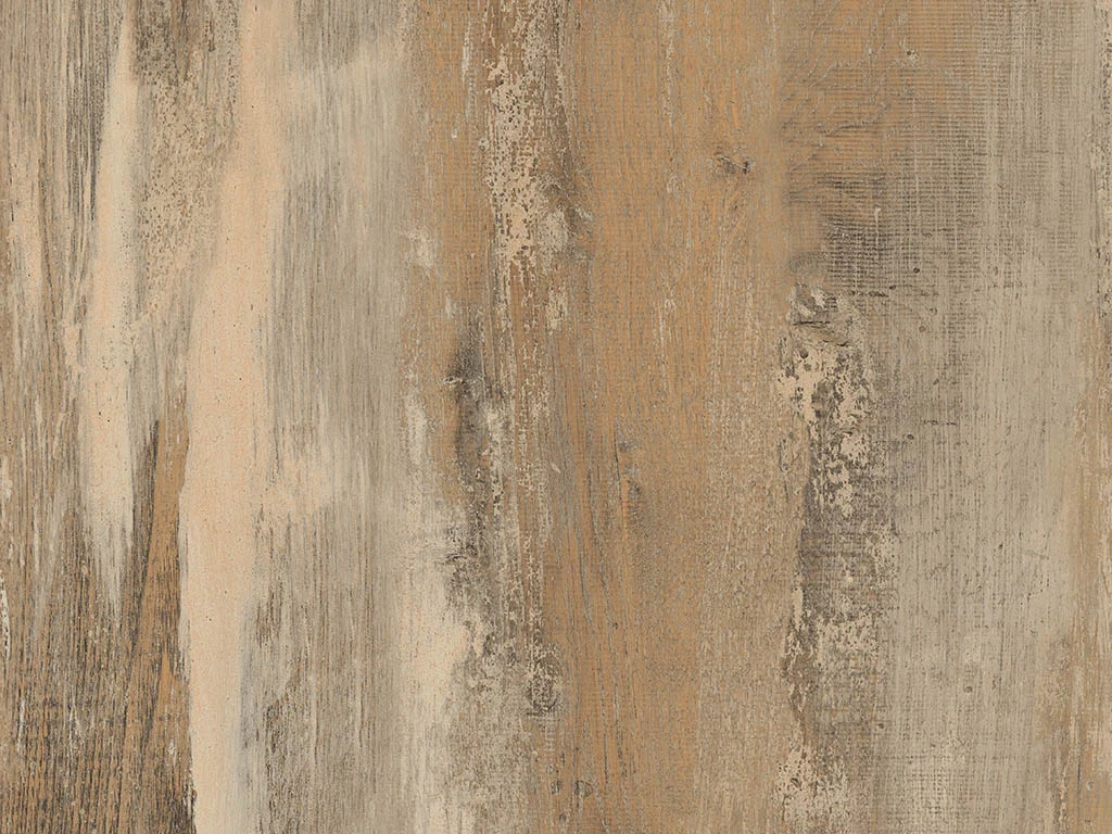 2103 – ICELAND OAK