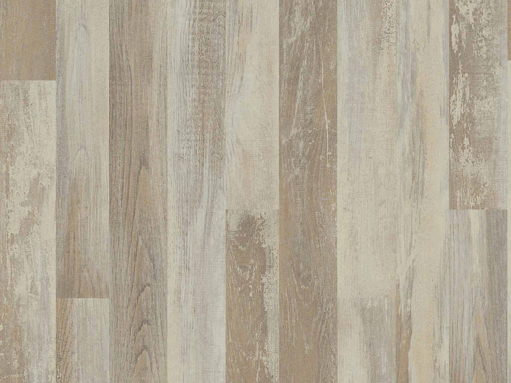 2106 – BOREAL OAK