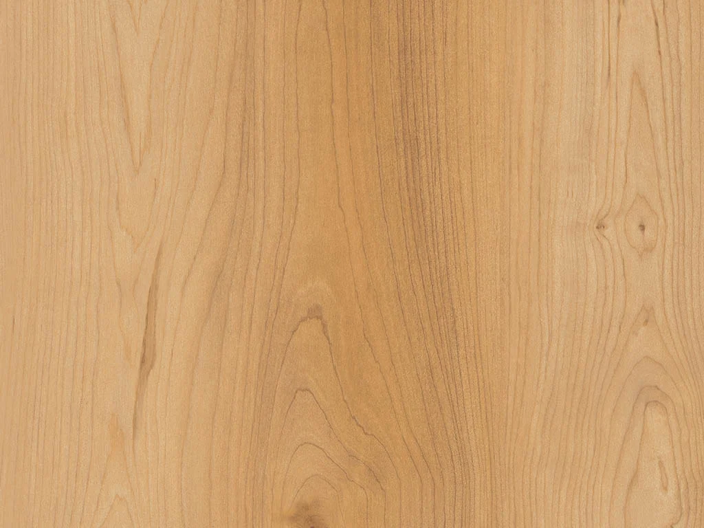 2377 – ORLEANS MAPLE