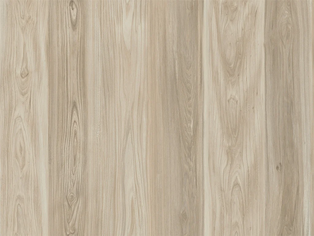 2394 – MADAGASCAR ELM