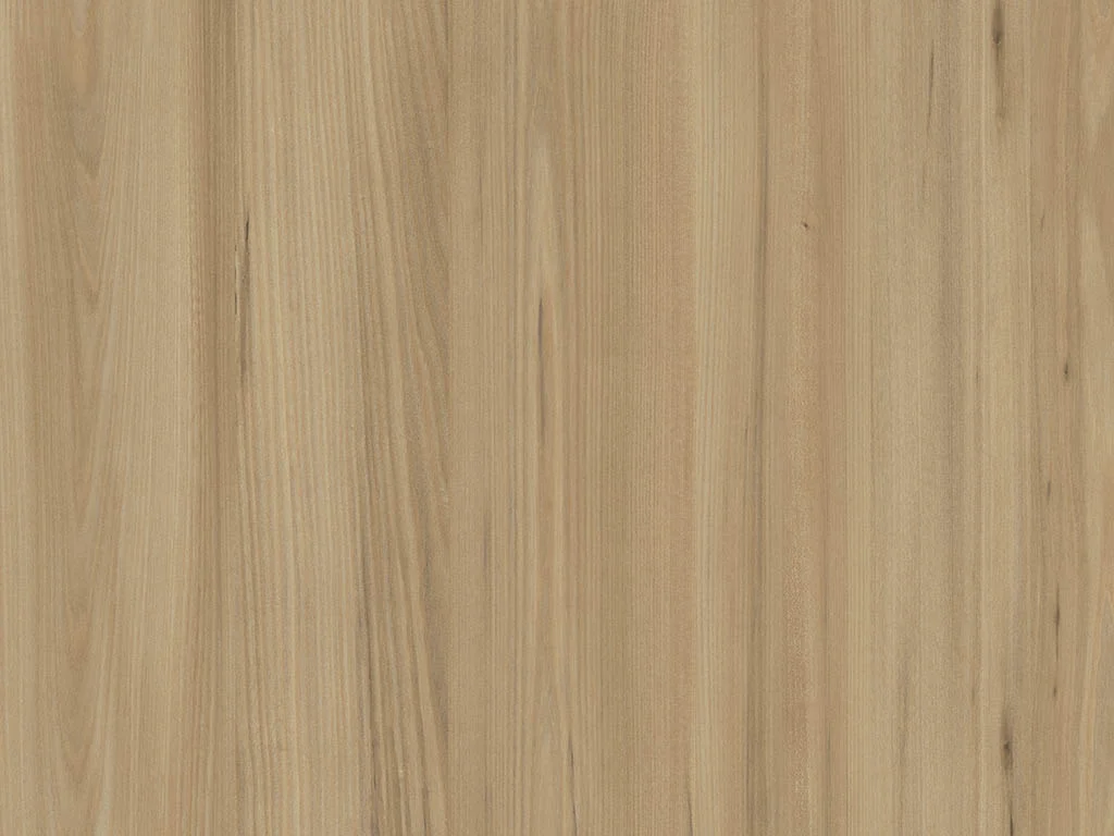 2480 – MAI ELM