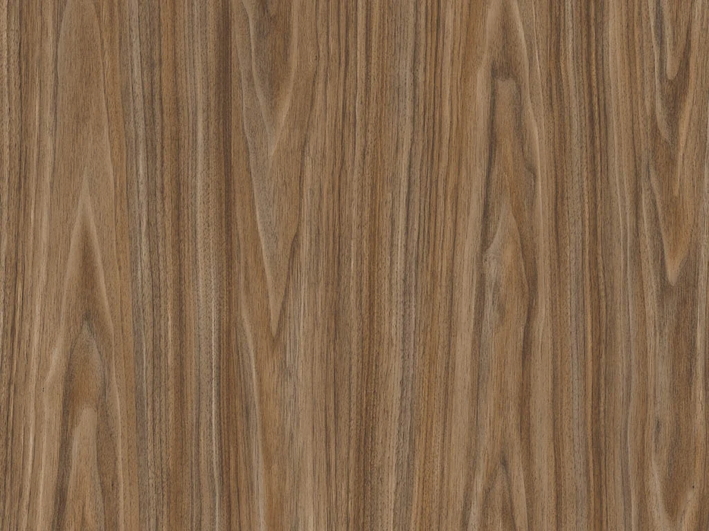 2485 – LOUISIANA WALNUT