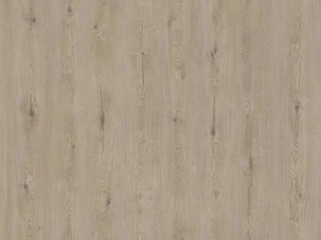 2762-d009